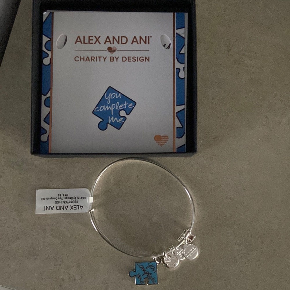 Alex and Ani charm bracelet